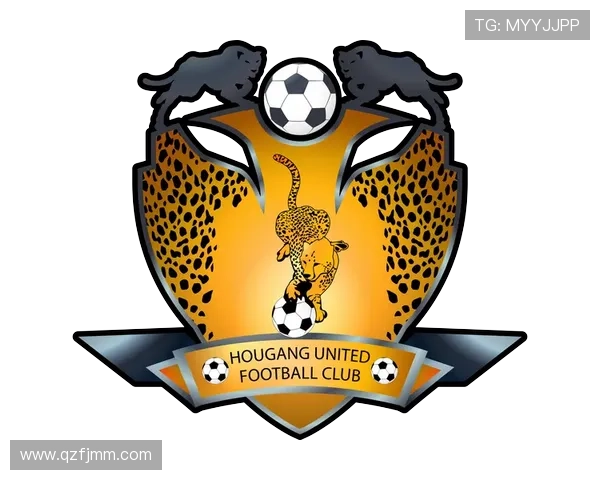 携手FootballClub共创足球新篇章